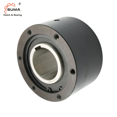 BS160 BS200 BS220 Holdback Backstop Clutch One Way Cam Clutch Lagers