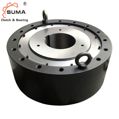 BS160 BS200 BS220 Holdback Backstop Clutch One Way Cam Clutch Lagers