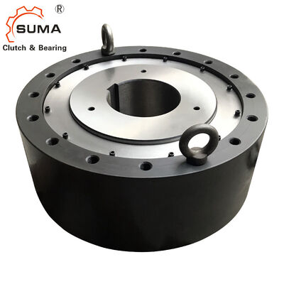 Kopen BS425 BS450 980000Nm Koppeloverbrenging Vrijloop Terugslagkoppeling voor Cementfabriek online manufacture