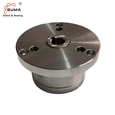 100 NM de Rolkoppeling van MZEU GCr15 het Dragen zonder Smering