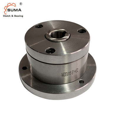 100 NM de Rolkoppeling van MZEU GCr15 het Dragen zonder Smering