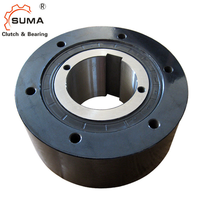 BS160 BS200 BS220 Holdback Backstop Clutch One Way Cam Clutch Lagers